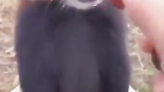 Cute baby