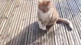 Cute ????