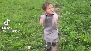 Fanny video