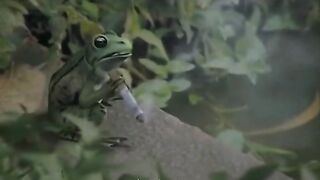 natural prog