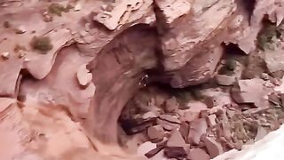 Keindahan Vs kematian !!