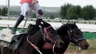Horse stunt