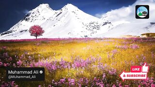 SURAH E YASIN  AL QURAN