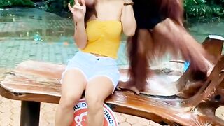 Monyet nya jadi ketagihan ????