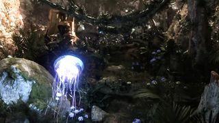 Wonderland Indonesia 1
