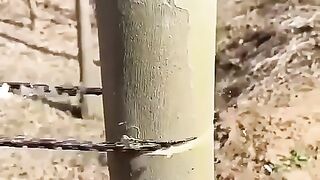Wood cutting technic