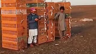 Race from Ormara to Quetta 900 km