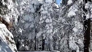 Beautiful