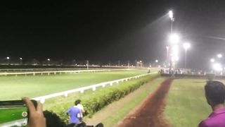 Horse Race Winning Moment