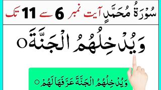 Learn Surat Muhammad Ayat No 6 To 11 _ surah e muhammad _ muhammad surah _ surah muhammad ki tilawat.