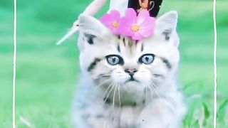 Guzal video