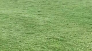 Horse riding