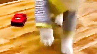 Watch the dramatic dog run over by a toy car pretending a serious accident #shorts #