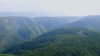 Take you to the paradise deep in the mountains (1)
