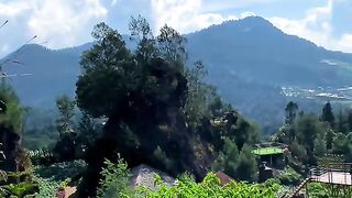 Pemandangan alam