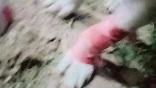 Roomi injury Leg