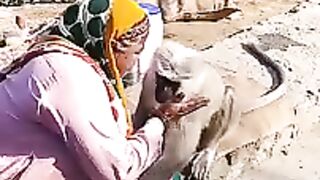 monkey and old lady