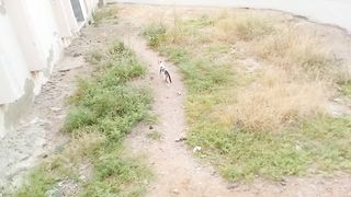 That is a gorgeous looking stray cat with green and white color