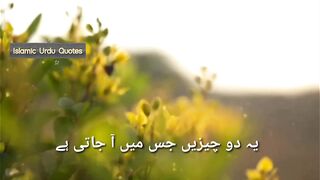 Islamic status
