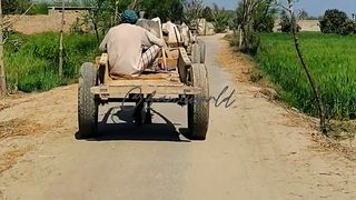 Desi mahool ????????