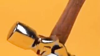 Excellent Short Video | Short Video