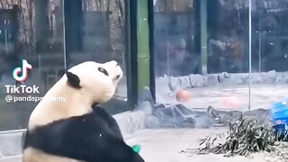 FUNNY___&TIKTOK90 __COMPILATIONS__2023