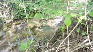 DRÔLE _&NOS____ AMIS __PÊCHEURS