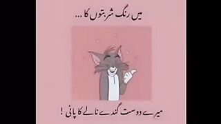 Tom bhi ki yakkiya must watch end