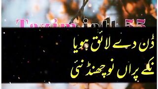 Nice poetry like video