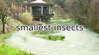 Beauty of nature