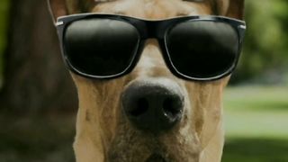 Watch soon! Funny cat videos 2023 part 18