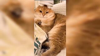 Tiktok funny video that make your day better