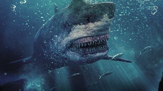 TOXIC SHARK Full Movie In Hindi Dubbed (2017) Shark Movie HD