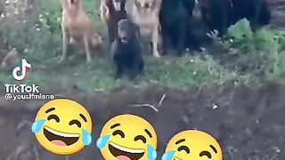 Funny