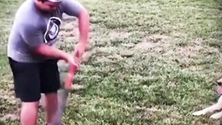 Amazing Facts with respect and Amazing videos