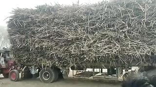 Belarus | Tractors | kisan