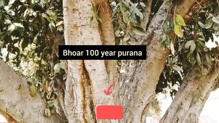 Viral video bhoar 100 sal old