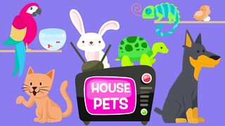 House Pets! videos for babies, toddlers, kids