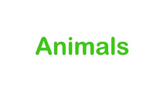 Baby Learning: ANIMALS. Learning and teaching for babies and toddlers.