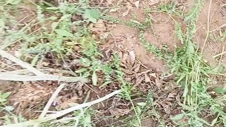 RANGILA #short videos vairal views watch videos
