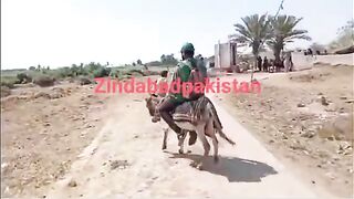 Pakistan movie