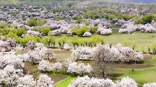 Beautiful place in Pakistan ????????