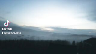Morning