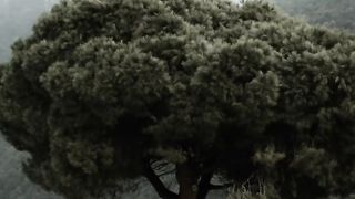Love status video