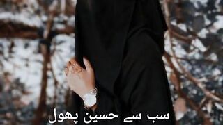 Meeraj khan Poetry ????