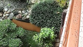 Taman asri