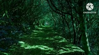 Peaceful music, Beautiful relaxing music