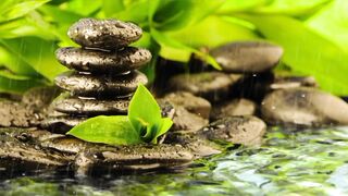 Soothing Rain Sounds For Sleeping