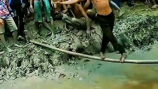 Kumpulan video lucu