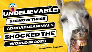 See How This Adorable Animals Shocked The World The 2023!